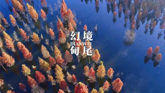 狼人杀
