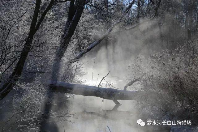 脑洞小老弟无实名认证