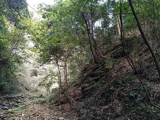 逗小猴开心系列174