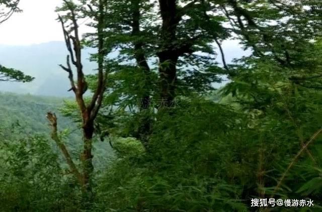 增长5.5%！2023年云南居民人均可支配收入28421元