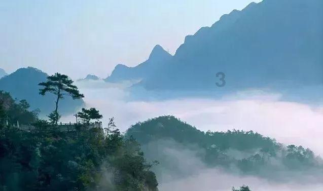 春雨直播app