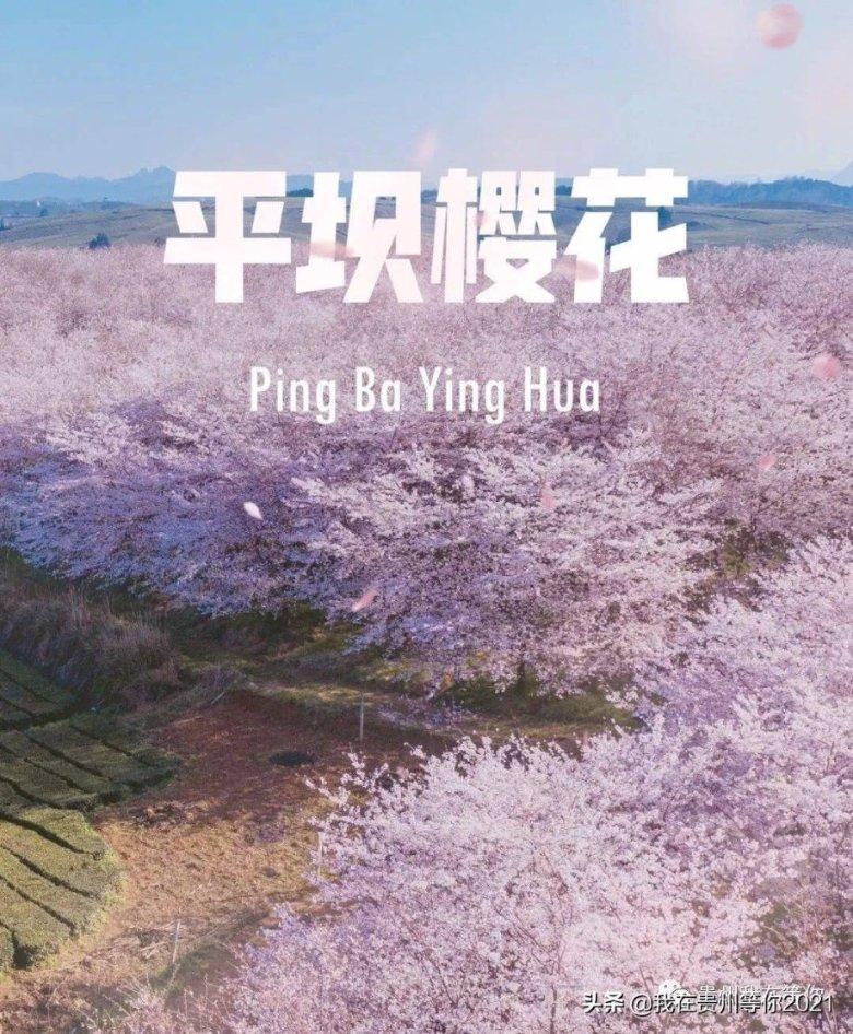 卡卡贷催收上门怎么办啊，有人知道吗游戏画面