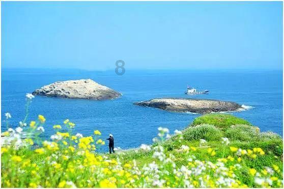 蜜蜂向上跳