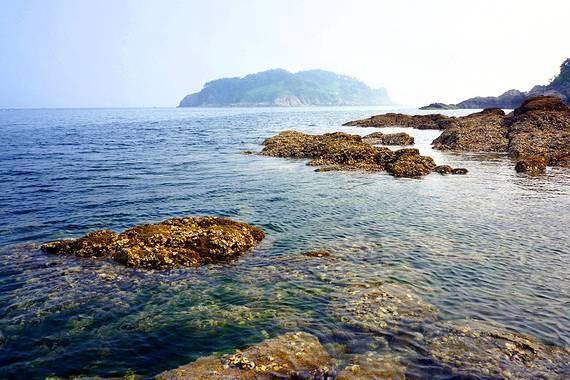 夏日网上购物