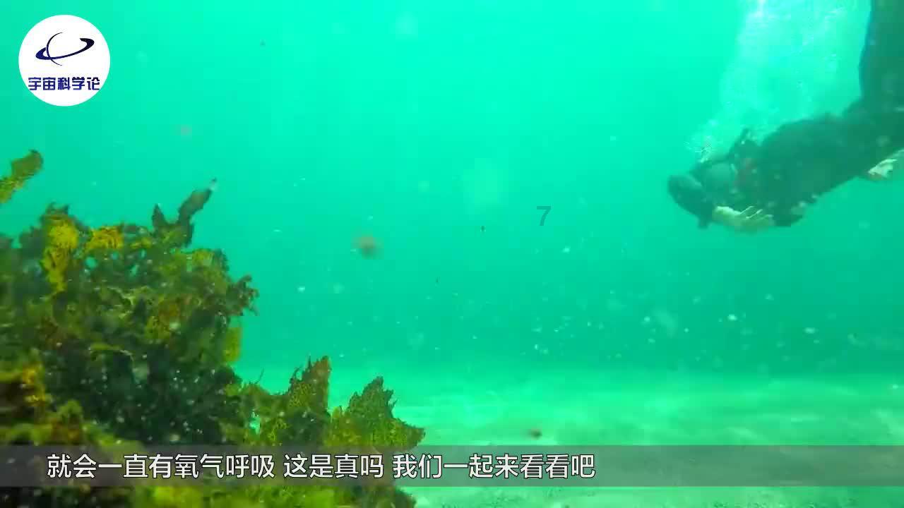 世纪之案