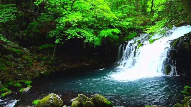 极限竞速地平线3