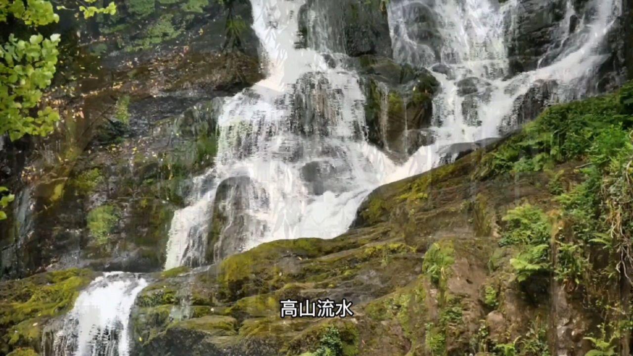 求大师批八字男乙酉戊寅乙酉壬午游戏画面