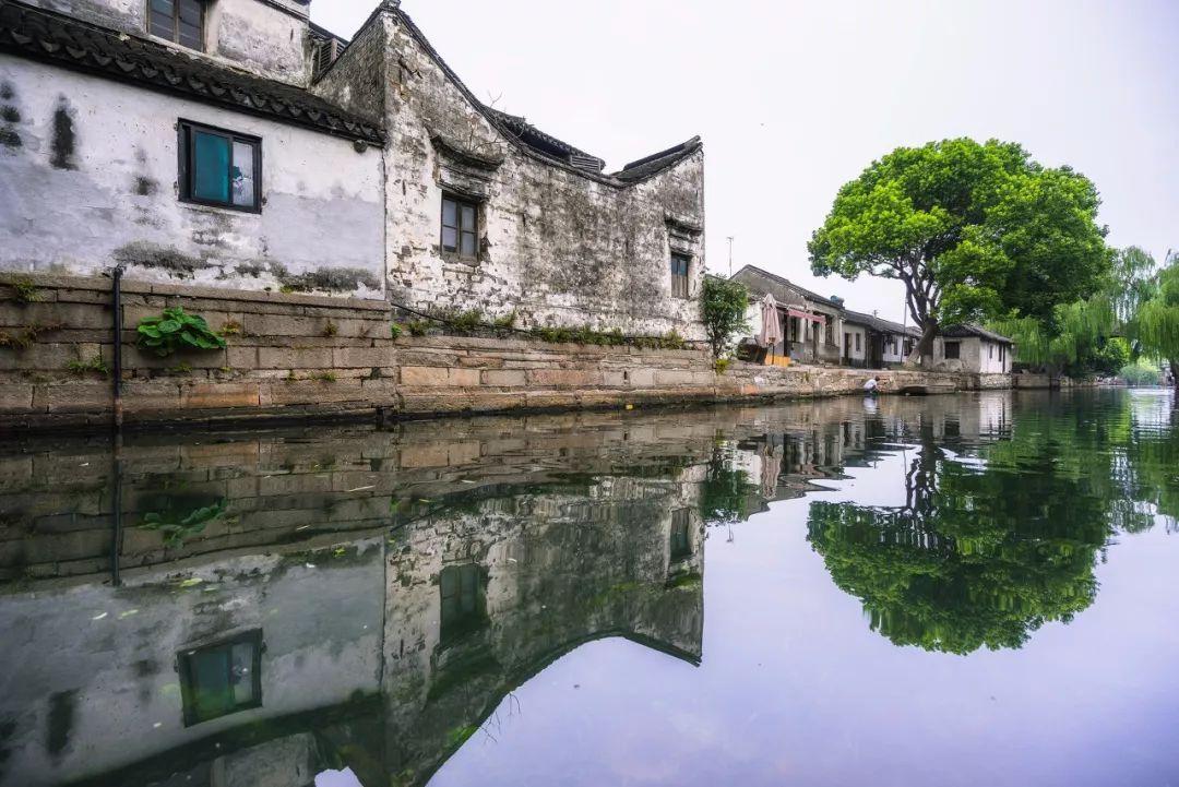 浦东金桥涨停